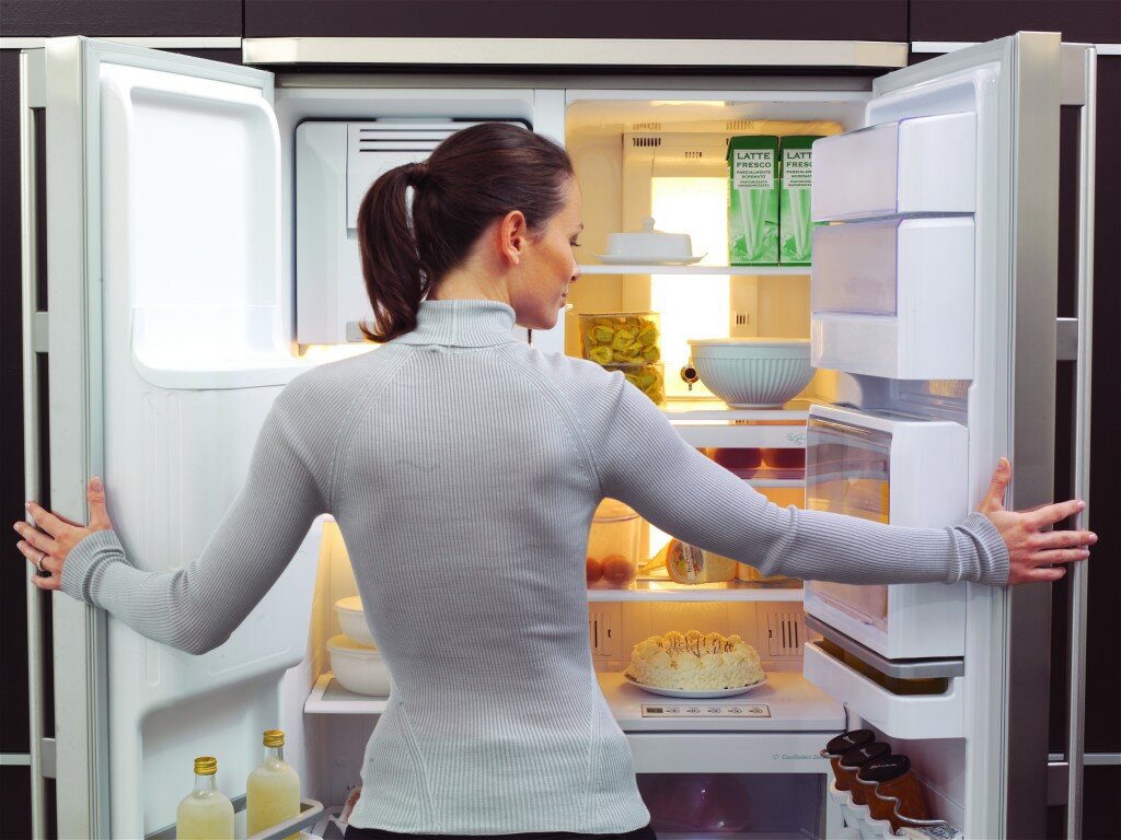  выбрать холодильник для дома и какая марка долговечная 2016